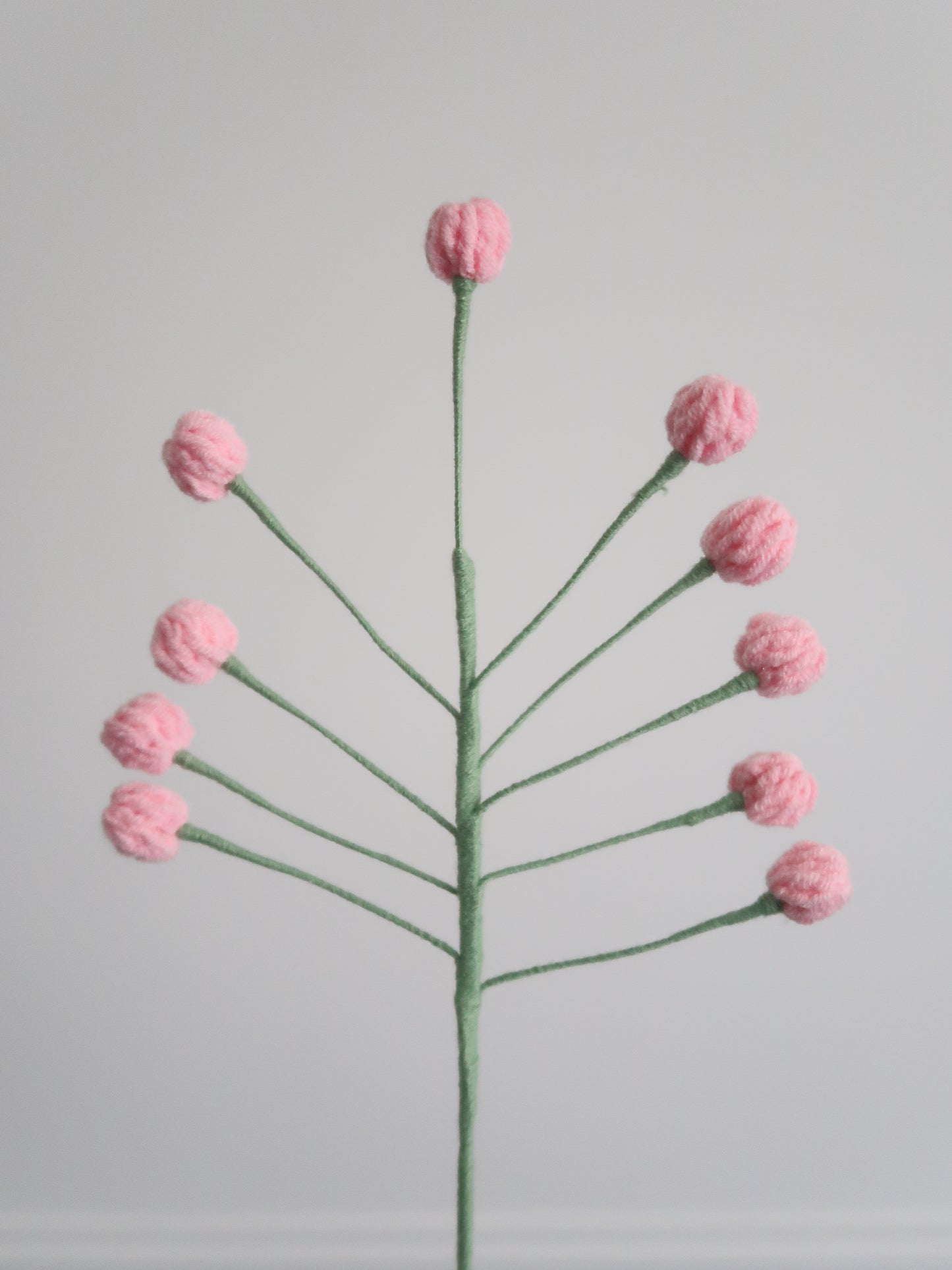 Bloemknopjes