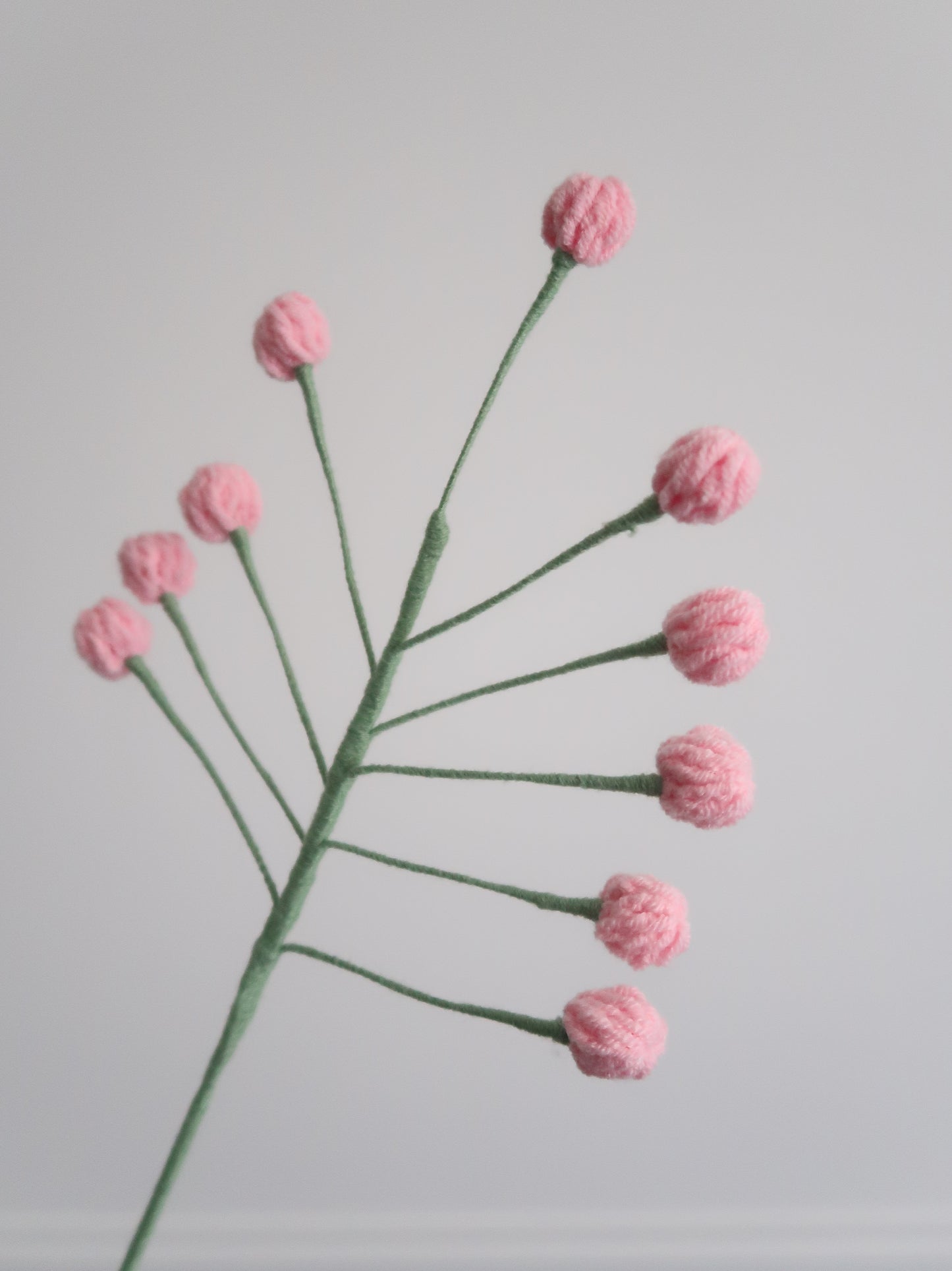 Bloemknopjes