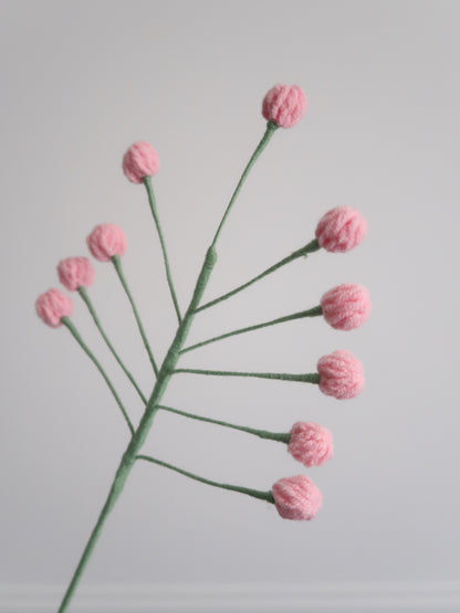 Bloemknopjes