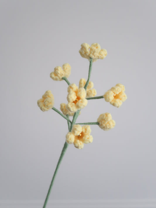 Mimosa