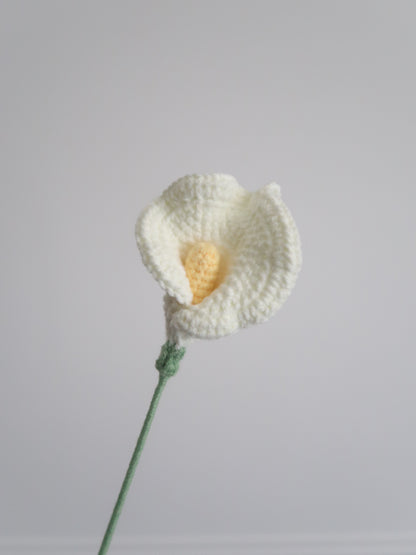 Aronskelk (Calla lelie)