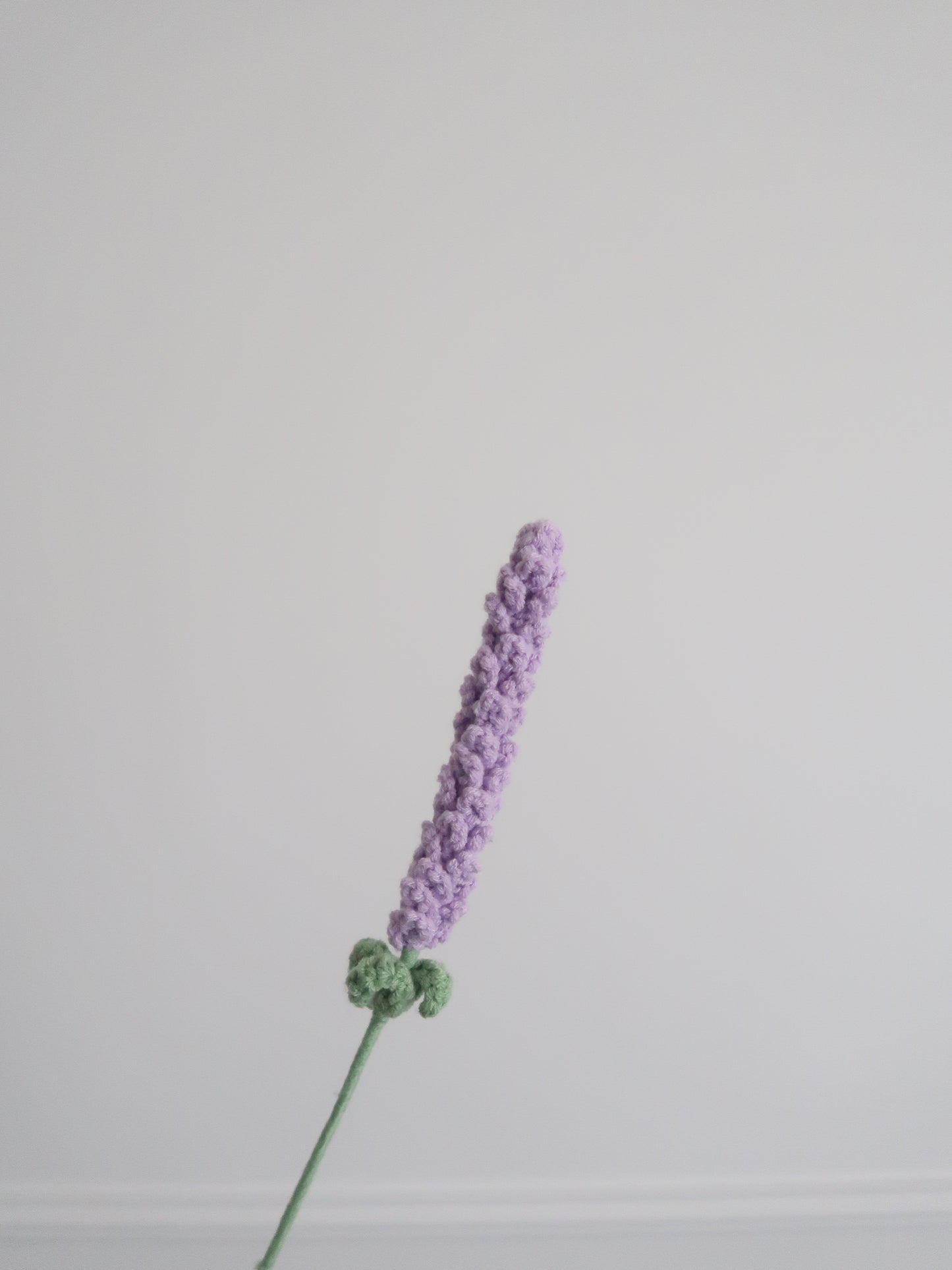 Lavendel