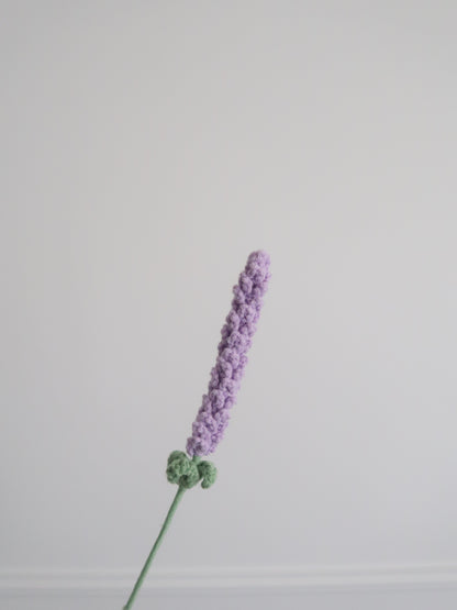Lavendel