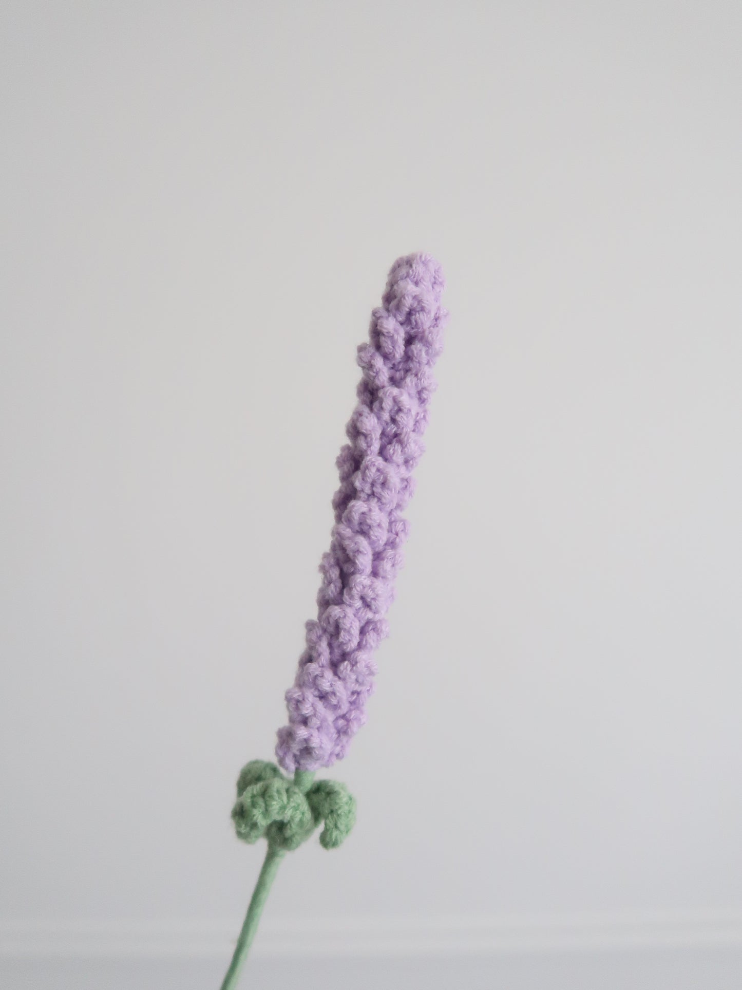 Lavendel