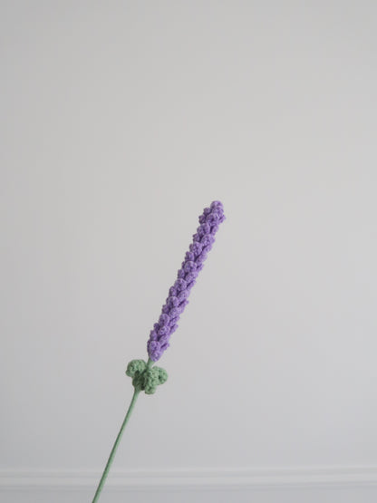 Lavendel