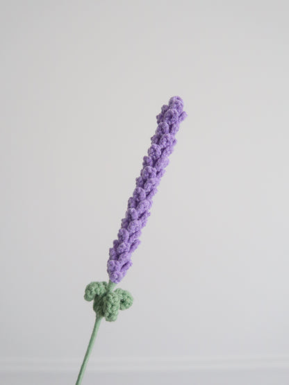 Lavendel