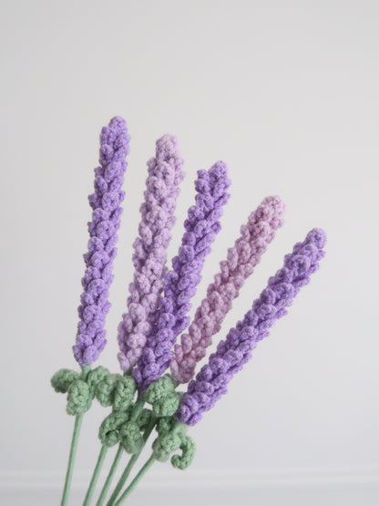 Lavendel