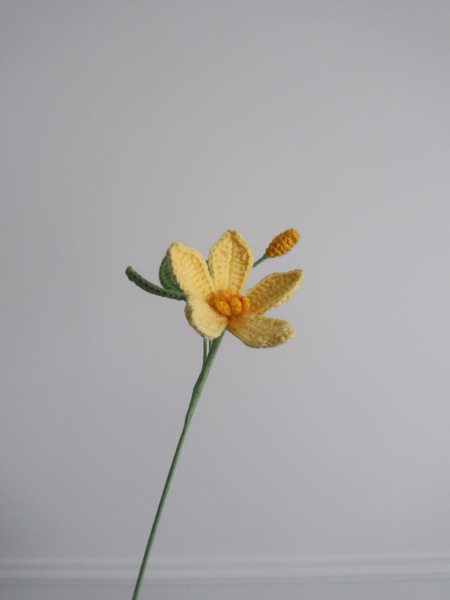 Clematis