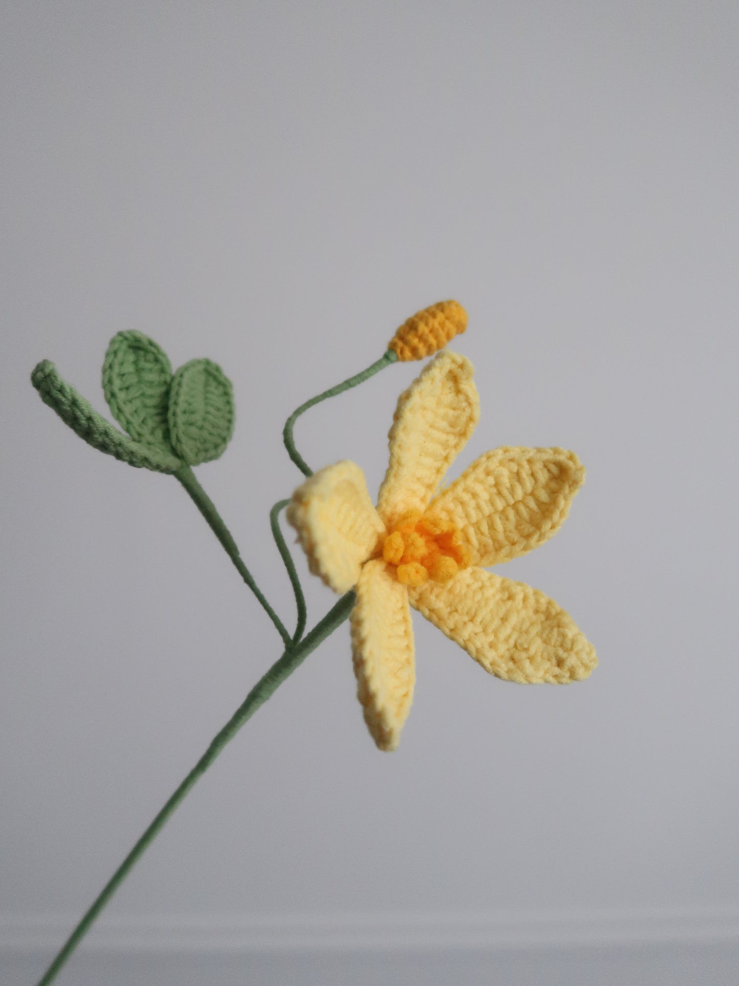 Clematis