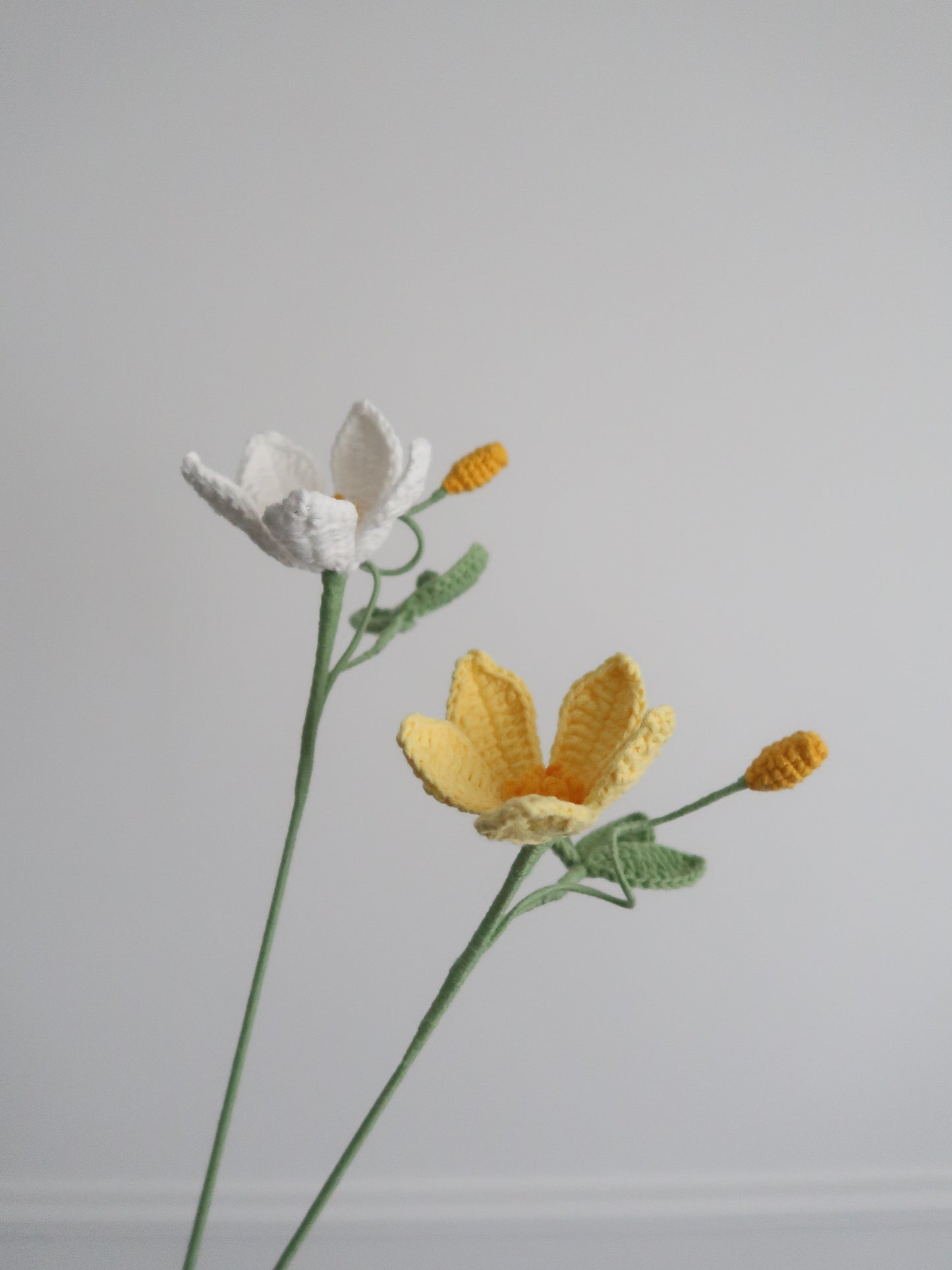 Clematis